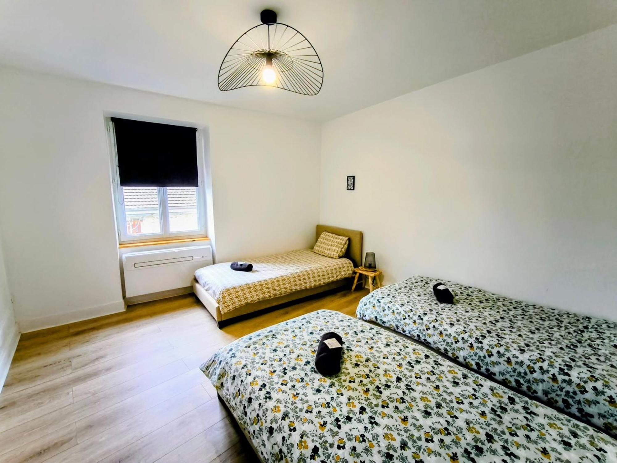 Chez Lulu - 5 Lits- Proche Cnpe - Gare Leilighet Ambérieu-en-Bugey Eksteriør bilde